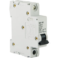 1 Pole 10A Circuit Breaker 6kA